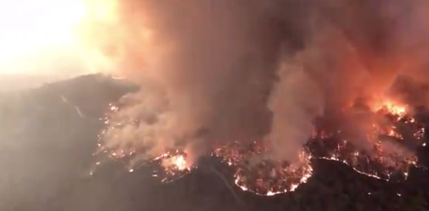 Апокалипса уживо: Пожари у Аустралији прогутали више од 14 милиона хектара земље, усмртила око пола милијарде животиња, раселили на стотине хиљада људи, а виде се из свемира (ФОТО)